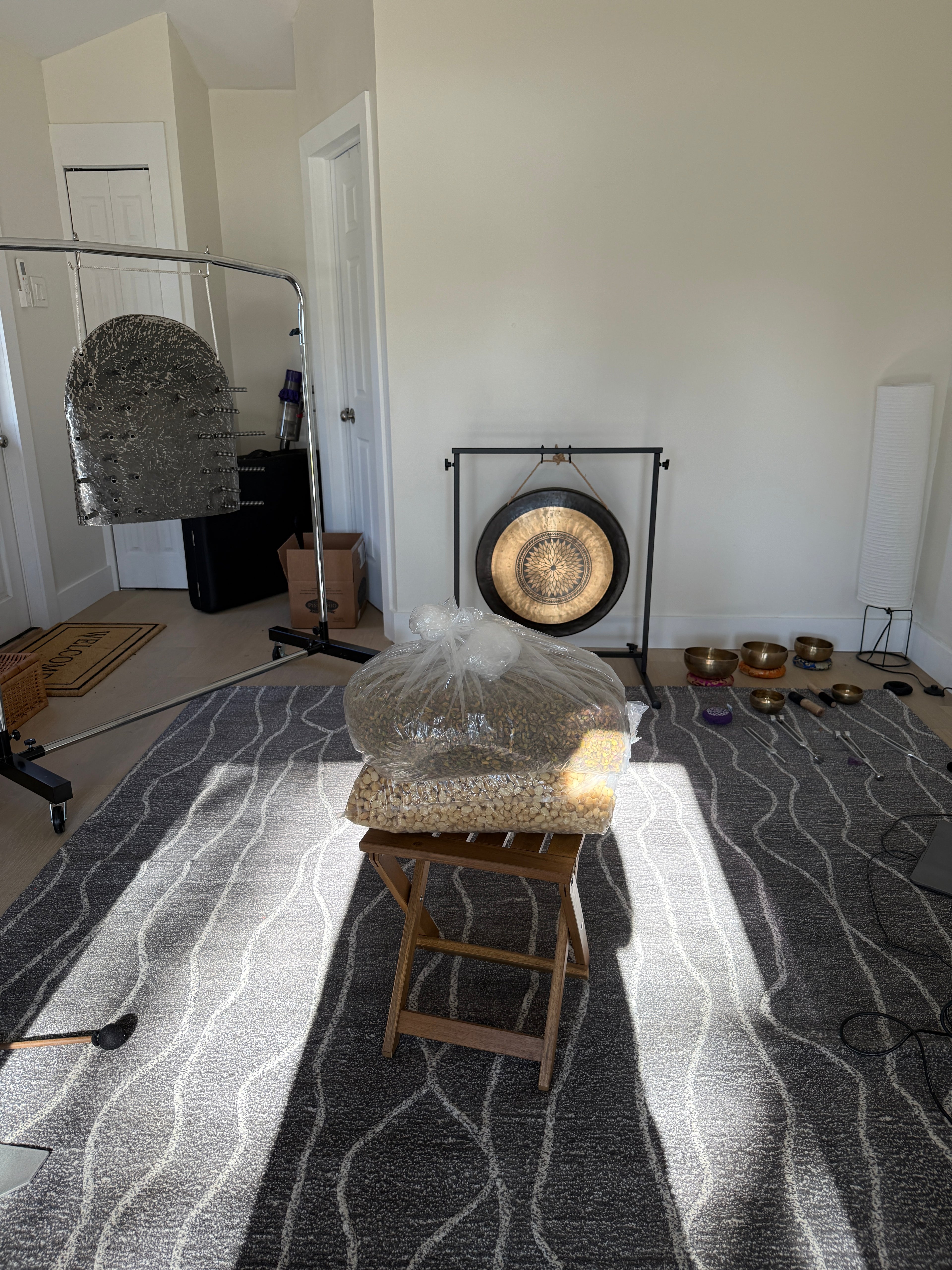 Organic Pistachio & Macadamia Nut Mix, Bathed in Sound Frequencies (Batch 3: Support & Guidance)